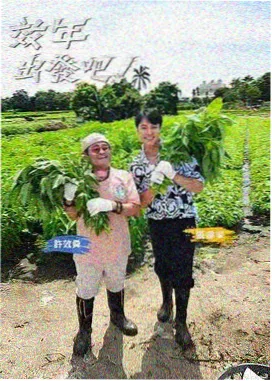逐帧